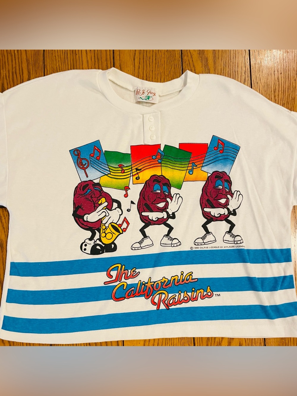 VTG B. J. Frog cropped white graphic tee, featuring The California Raisins, L/XL